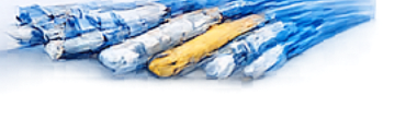 Networking cables and accessories